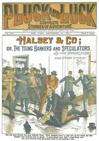 Cover of Halsey & Co. or, The Young Bankers and Speculators — Reading Companion