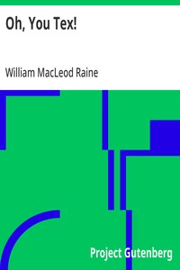 Cover of Oh, You Tex! — Reading Notes